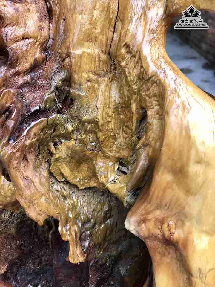 Phat-di-lac-nhi-phuc-go-nu-khao-cao-78-rong-66-day-33-cm---