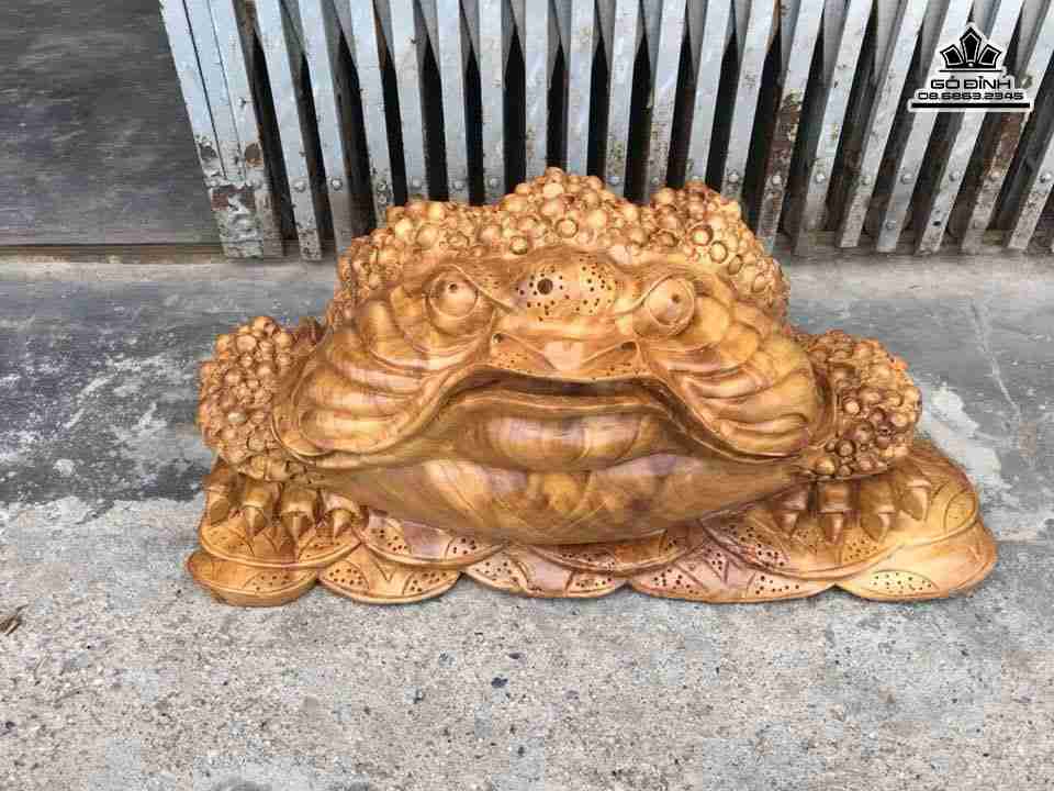 mua-Coc-ngam-tien-go-xa-xi-rong-55-cao-23-sau-32-cm