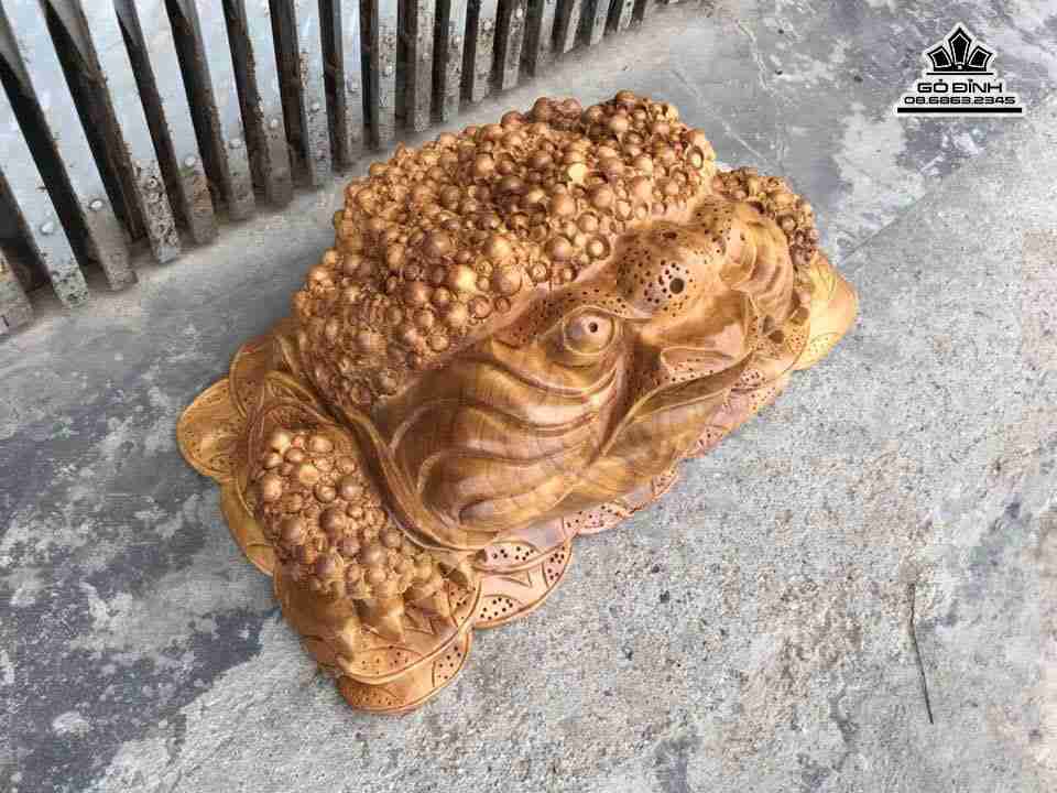 gia-Coc-ngam-tien-go-xa-xi-rong-55-cao-23-sau-32-cm