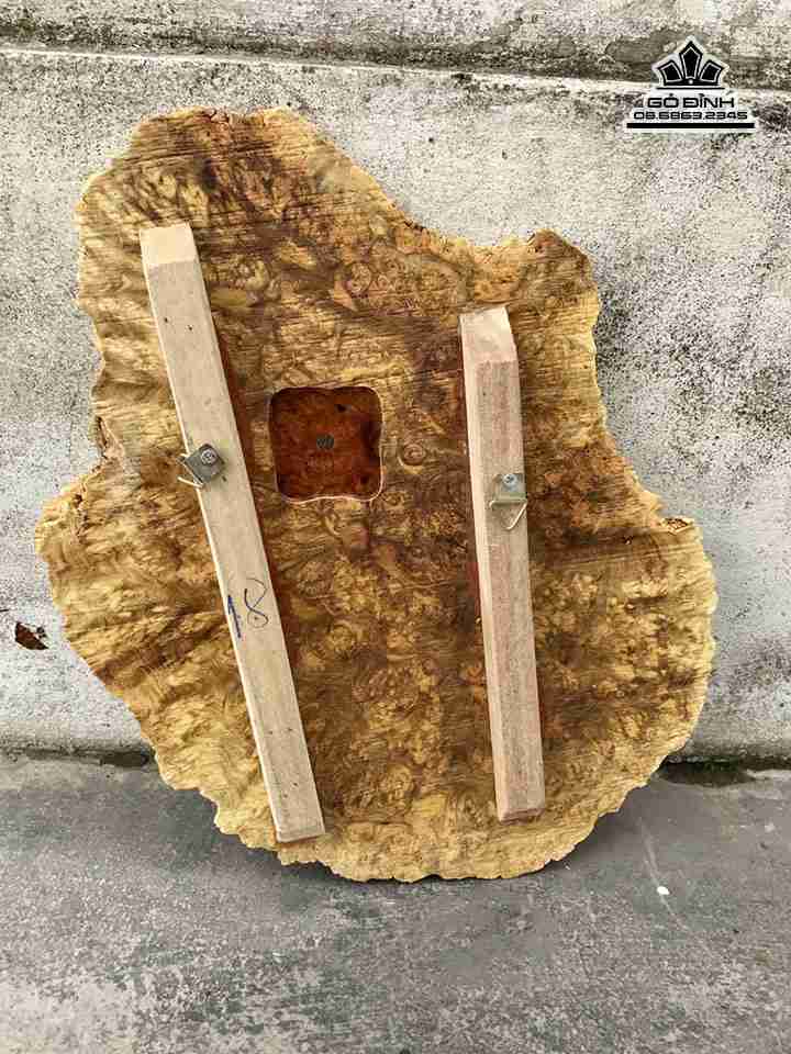 Dong-ho-ca-chep-go-nu-nghien-cao-49-rong-33-day-2-2-cm