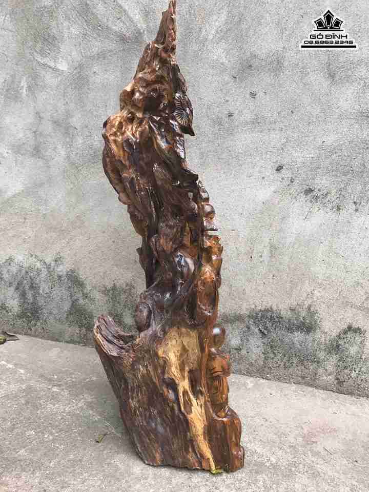 gia-Ong-tho-dung-goc-tung-go-bach-xanh-cao-66-rong-29-day-18-cm