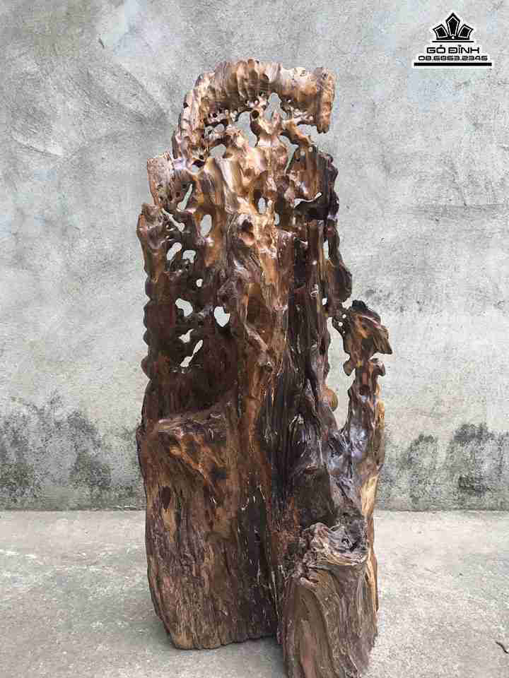 Ong-tho-dung-goc-tung-go-bach-xanh-cao-66-rong-29-day-18-cm