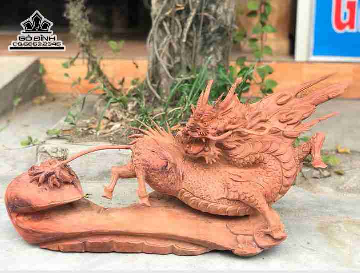 mua-Long-ma-go-huong-rong-83-cao-37-sau-25-cm