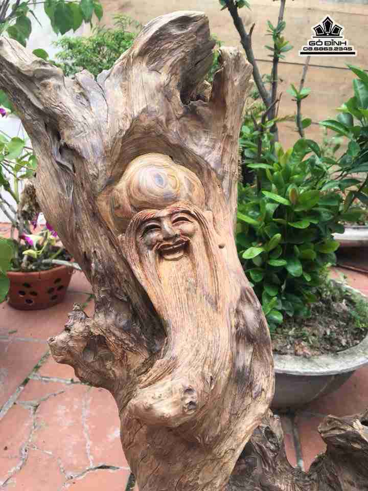 gia-Cu-tho-go-chun-sun-lua-bach-xanh-cao-68-rong-50-day-28-cm