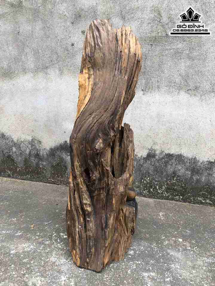 Tuong-Dat-Ma-Ngoi-Thien-Go-Bach-Xanh