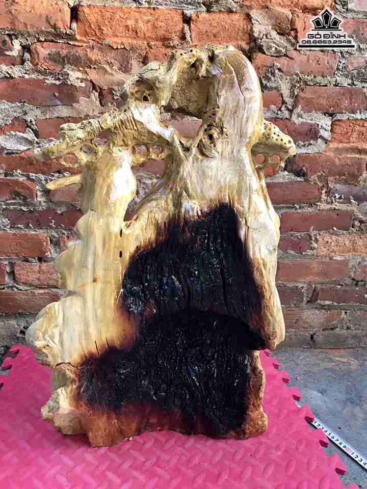 Phat-di-lac-dung-goc-tung-go-nu-nghien-cao-61-rong-35-day-16-cm