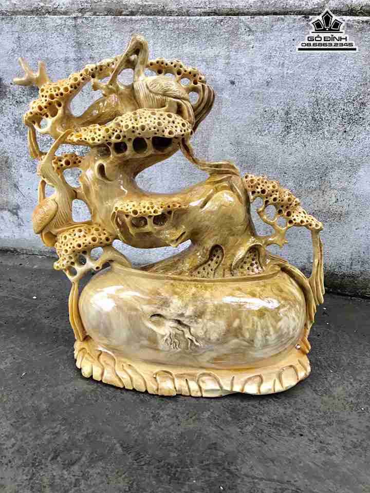 mua-Bon-sai-go-nu-nghien-cao-41-rong-40-day-16-cm