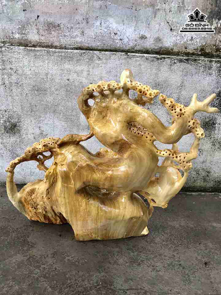 gia-Bon-sai-go-nu-nghien-cao-41-rong-40-day-16-cm