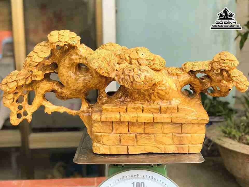 Bon-sai-go-nu-khao-rong-60-cao-30-day-22-cm