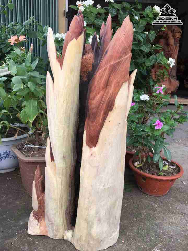 Gia-dinh-gau-truc-go-huong-cao-66-rong-31-day-21-cm