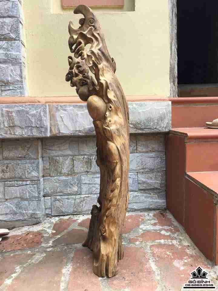 Cụ thọ gỗ bách xanh sơn la  3