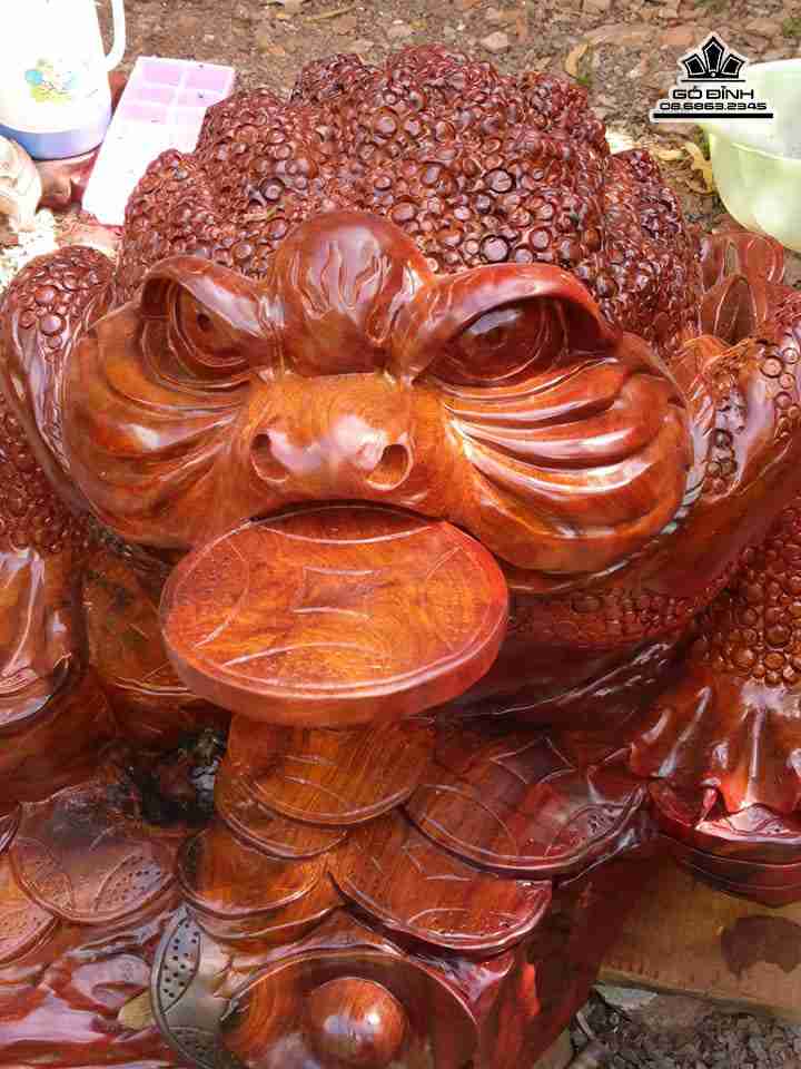 mua-Coc-ngam-tien-go-huong-cao-rong-75-day-80-cao-50-cm