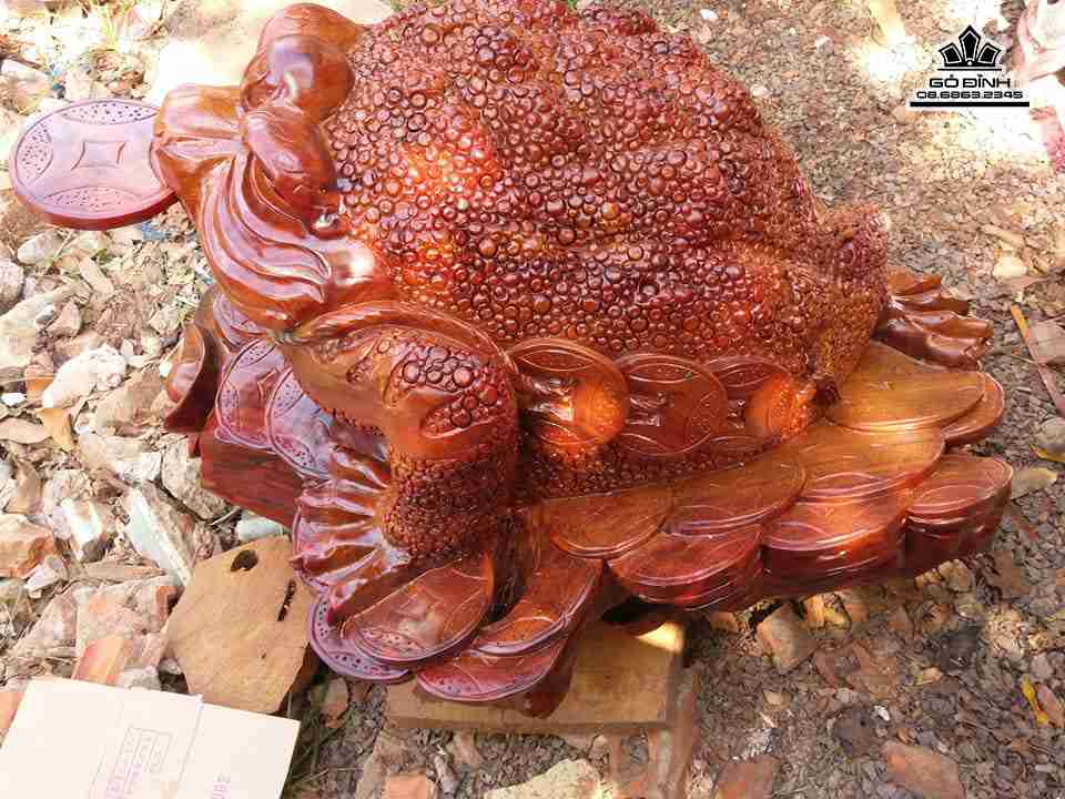 gia-Coc-ngam-tien-go-huong-cao-rong-75-day-80-cao-50-cm