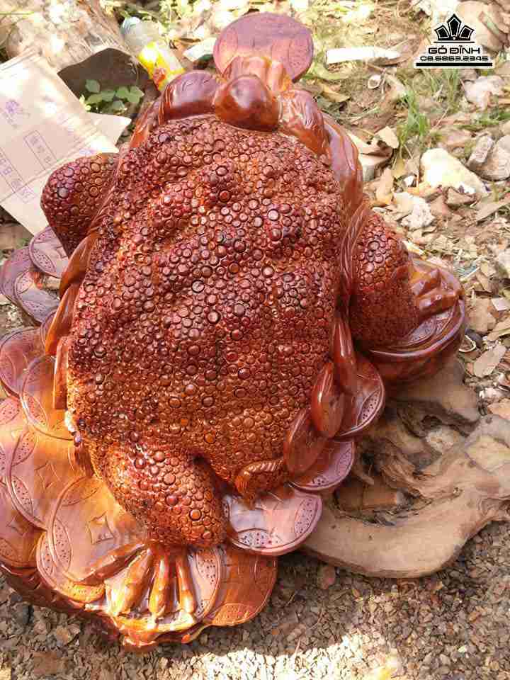 Coc-ngam-tien-go-huong-cao-rong-75-day-80-cao-50-cm-