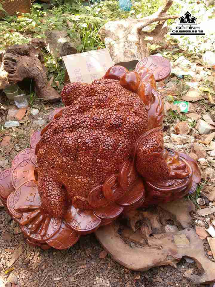 Coc-ngam-tien-go-huong-cao-rong-75-day-80-cao-50-cm