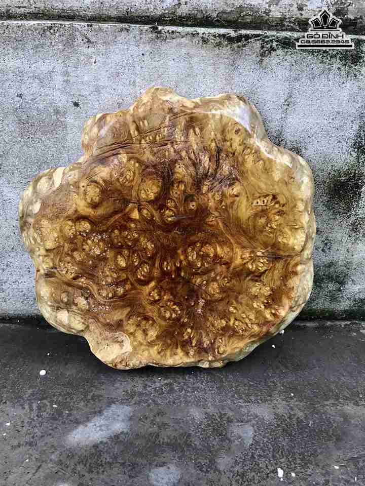 Khay-tra-go-nu-nghien-dai-43-rong-41-day-4-cm