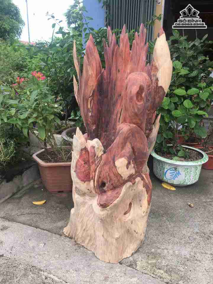 Gia-dinh-gau-truc-go-huong-cao-81-rong-37-day-32-cm