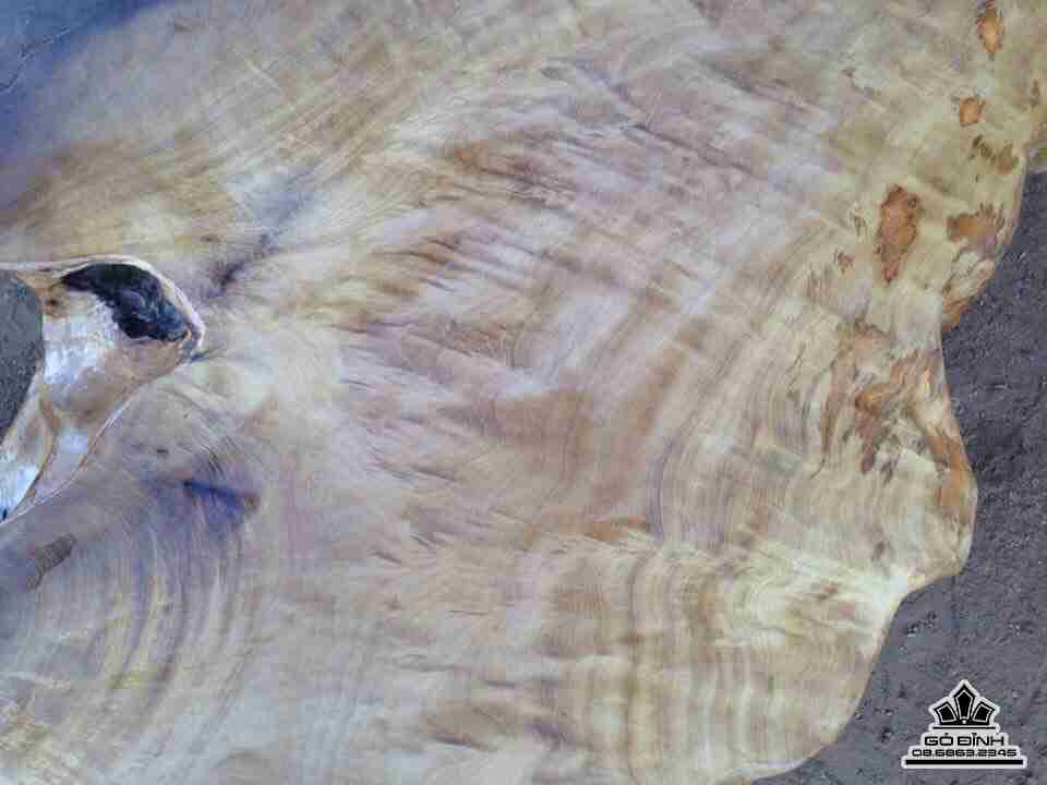 Bo-ban-ghe-goc-cay-mat-ban-chun-doi-rong-1m2-dai-2m2-day-26-cm-va-6-don-xa-xi