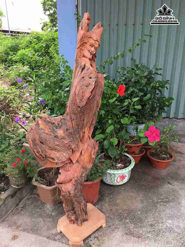 Te-cong-go-huong-cao-118-rong-42-day-25-cm--