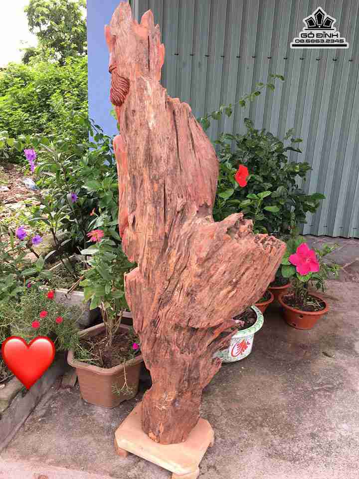 Te-cong-go-huong-cao-118-rong-42-day-25-cm