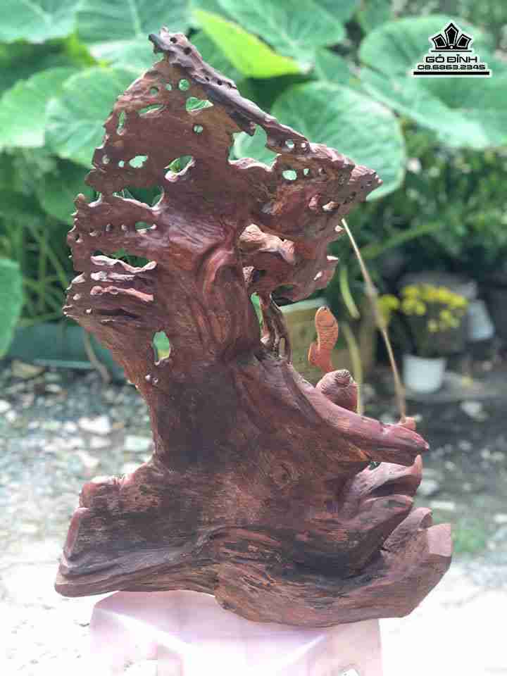 La-vong-ngoi-goc-tung-cau-ca-go-huong 7