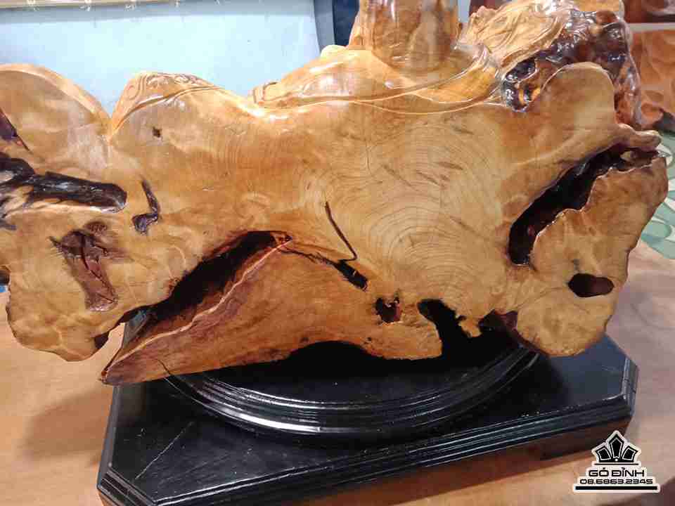 Phat-di-lac-ngoi-bao-tien-go-chun-sun-po-mu-rong-60-cao-28-day-42-cm