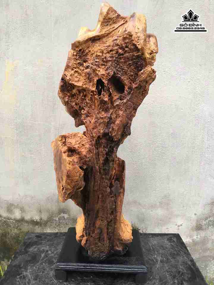 Dat-ma-bay-go-nu-khao-cao-88-rong-34-day-31-cm