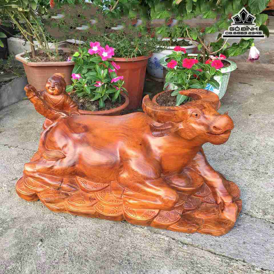 Trau-va-chu-tieu-go-huong