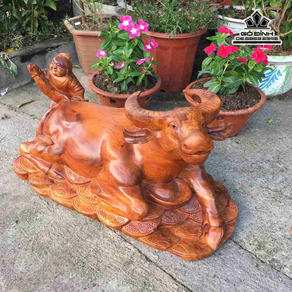 gia-Trau-va-chu-tieu-go-huong 