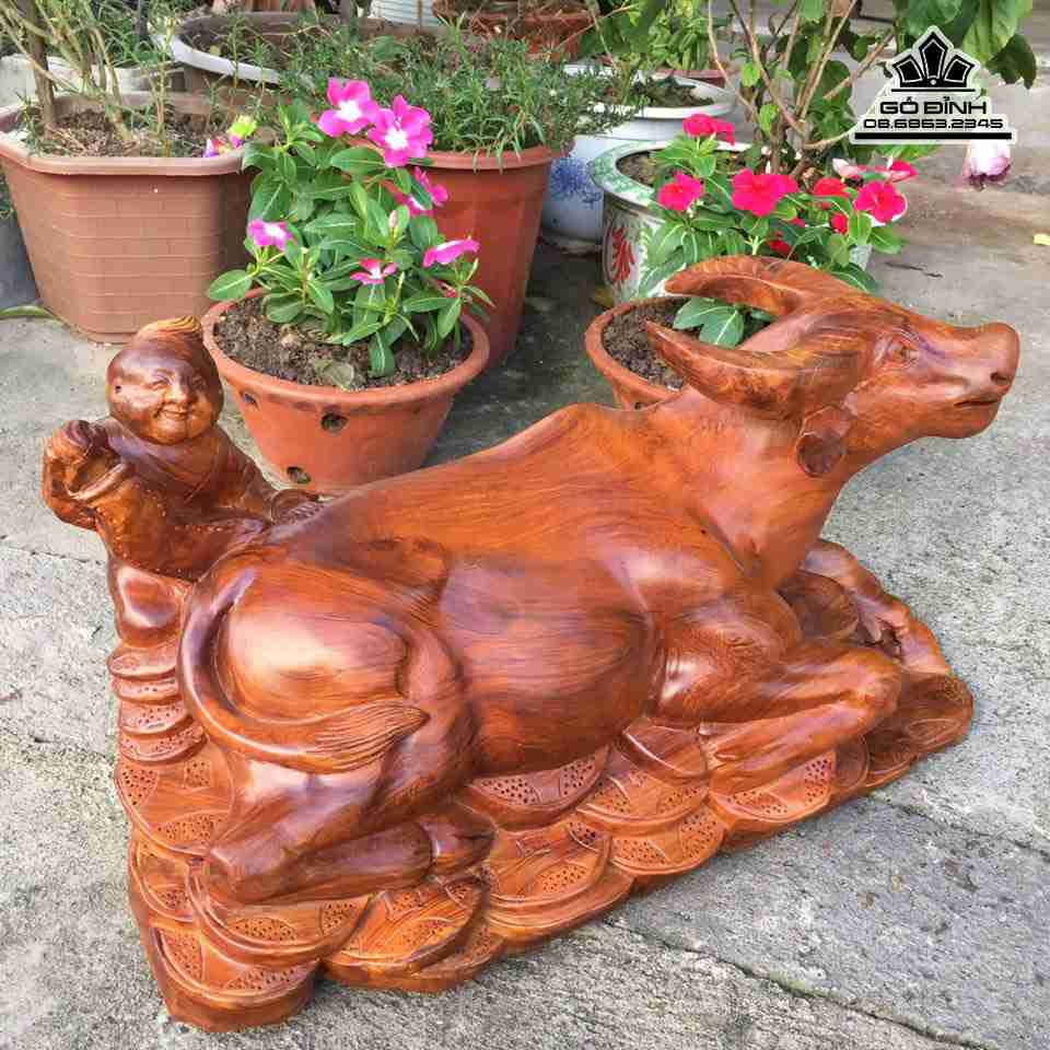 mua-Trau-va-chu-tieu-go-huong