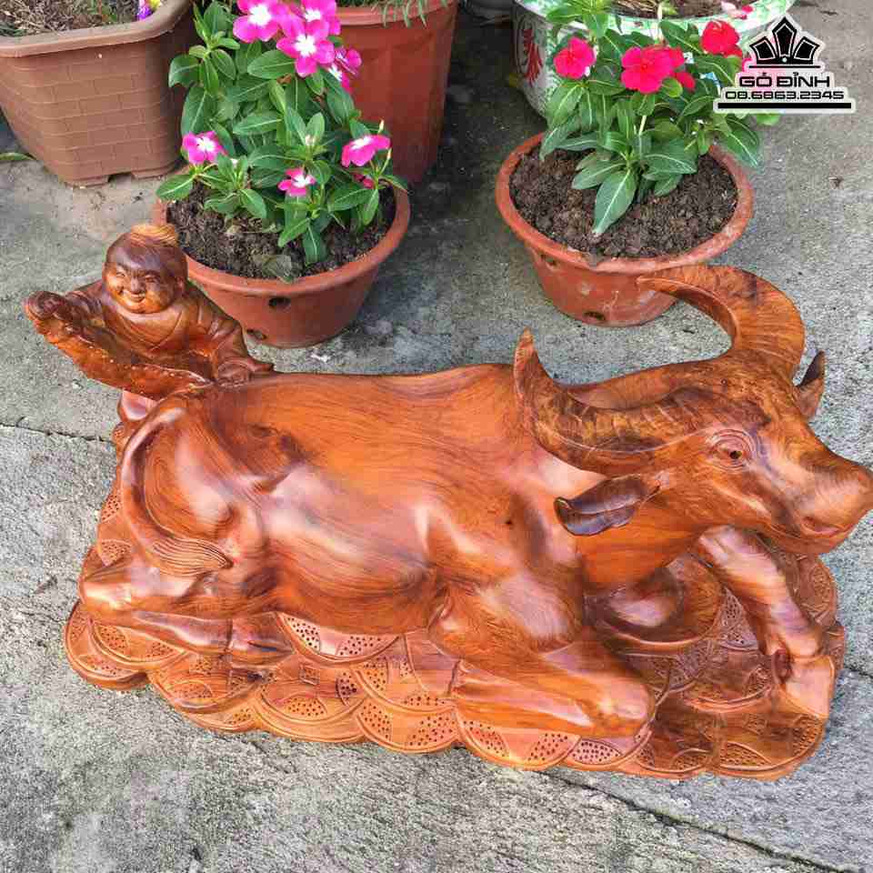 can-mua-Trau-va-chu-tieu-go-huong