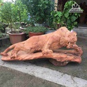 mua-Chua-te-son-lam-go-huong-cao-37-rong-82-day-30-cm