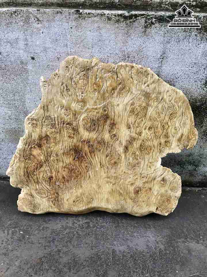 Khay-tra-go-nu-nghien-dai-41-rong-38-day-4-cm