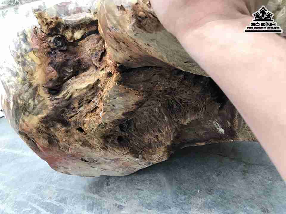 Tuong-Tam-Coc-Chan-Loc-Go-Nu-Nghien