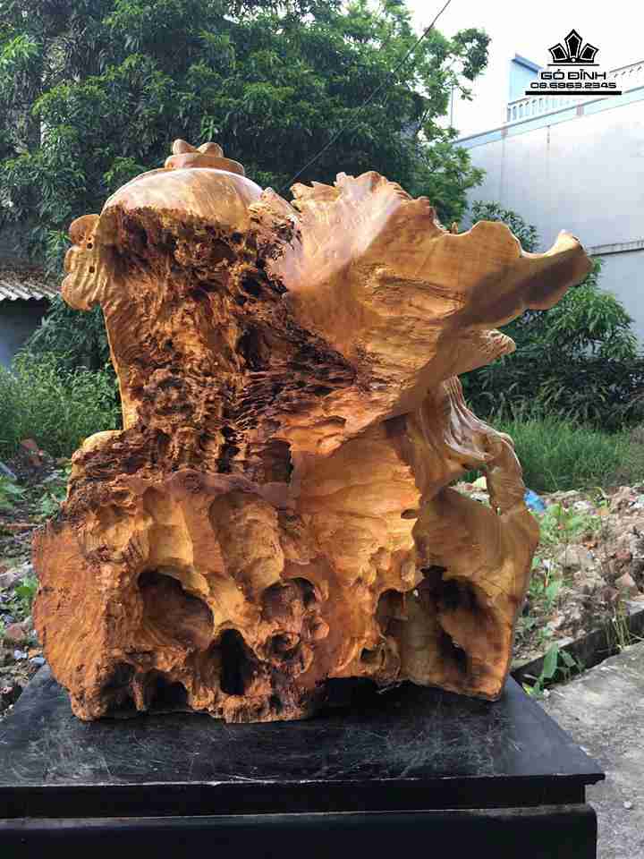 Phat-di-lac-cuoi-rong-go-nu-khao3