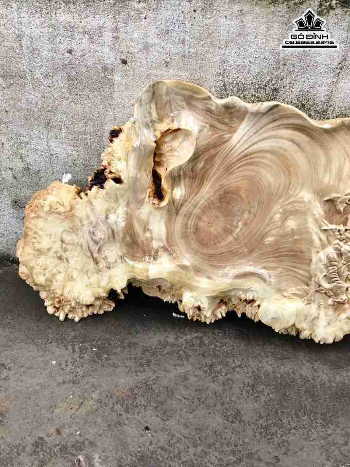 gia-Khay-tra-go-nu-nghien-dai-57-rong-30-day-4-5-cm