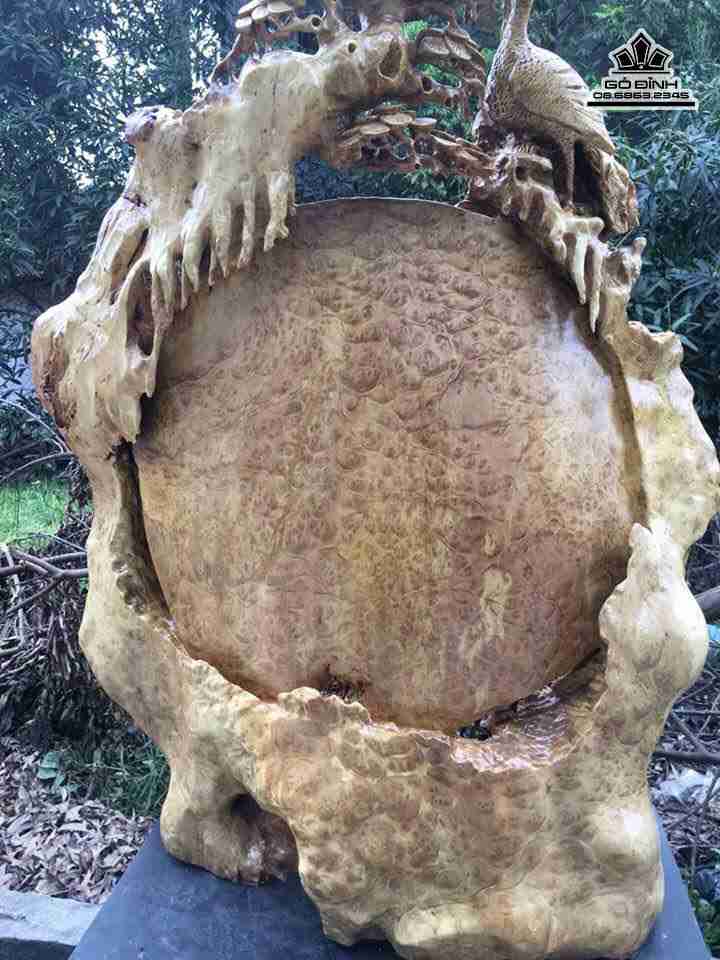 mua-Phu-the-vien-man-go-nu-khao-cao-115-rong-81-day-36-cm