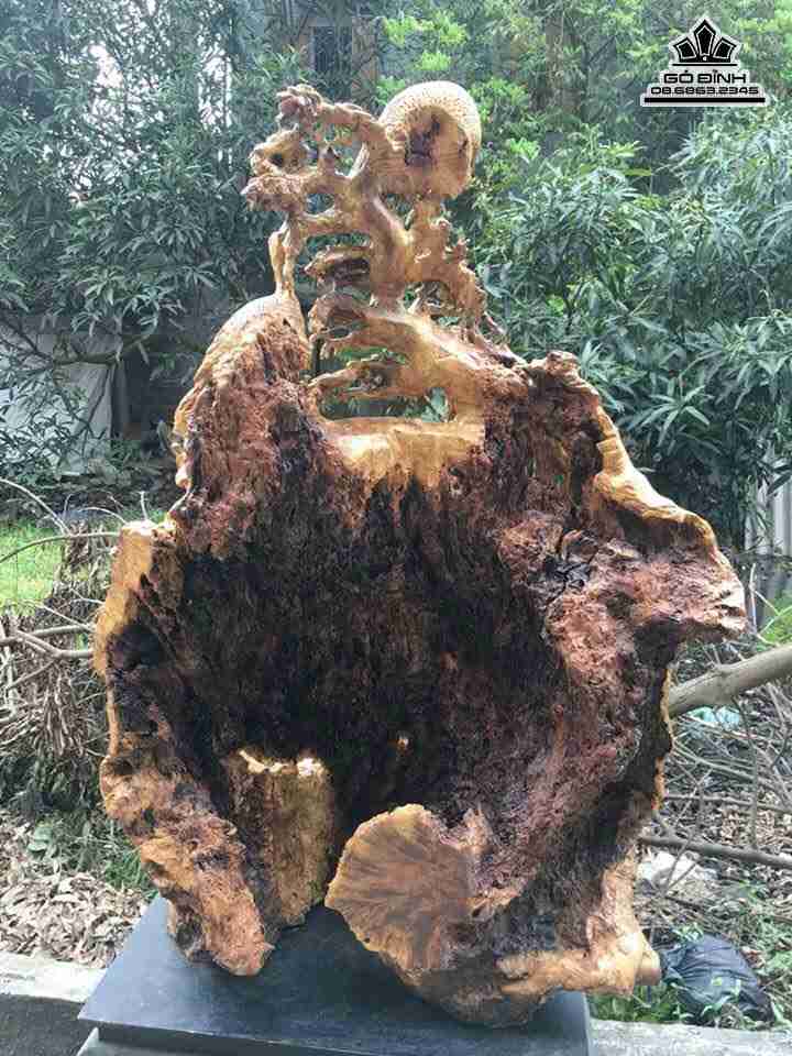 Phu-the-vien-man-go-nu-khao-cao-115-rong-81-day-36-cm