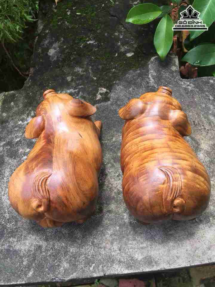 Vo-chong-nha-heo-go-bach-xanh-cao-9-dai-16-day-9-cm