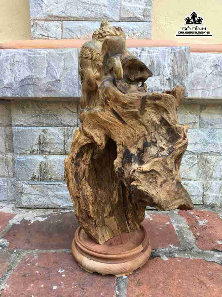 Than-tai-go-lua-bach-xanh-cao-58-ca-ki-ngang-30-sau-17-cm