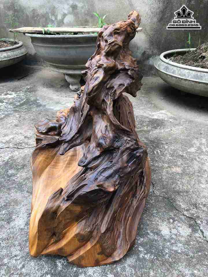 mua-Phat-di-lac-ngoi-go-bach-xanh-cao-47-rong-50-day-32-cm