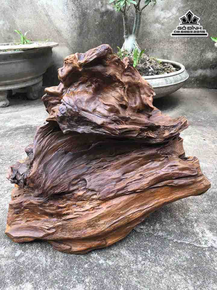 Phat-di-lac-ngoi-go-bach-xanh-cao-47-rong-50-day-32-cm