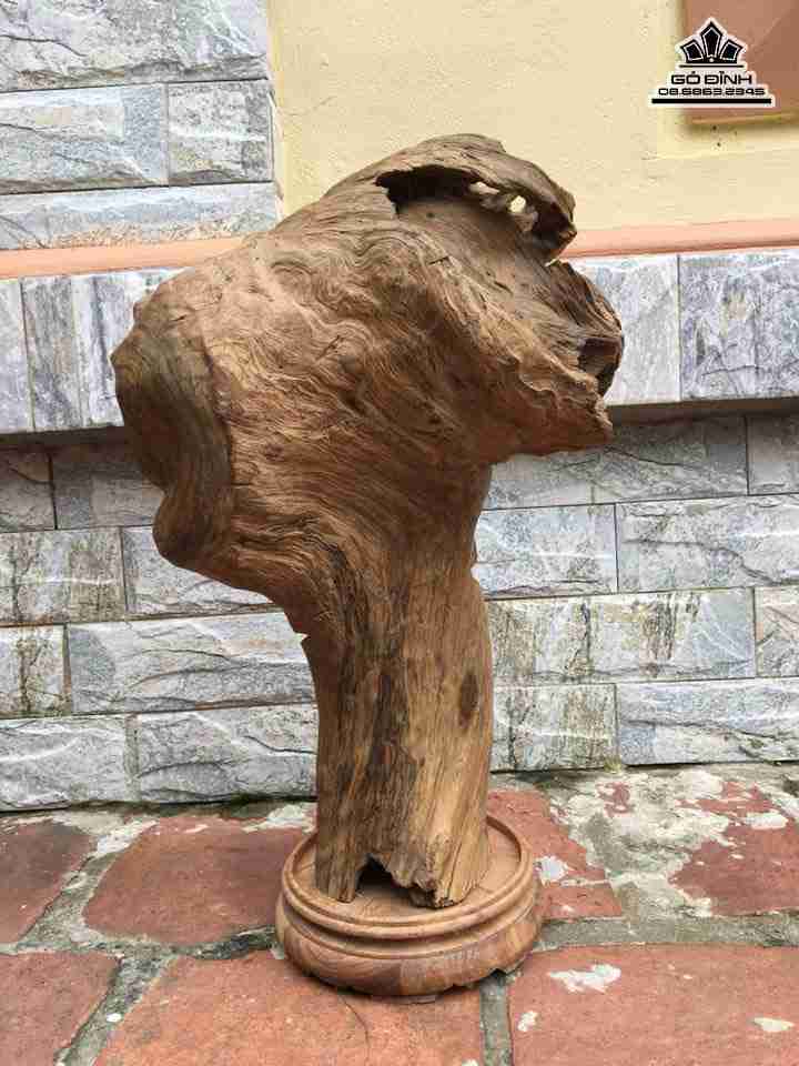 Phat-di-lac-cam-bao-tien-go-thuy-tung-cao-59-ca-ki-ngang-37-sau-15-cm---