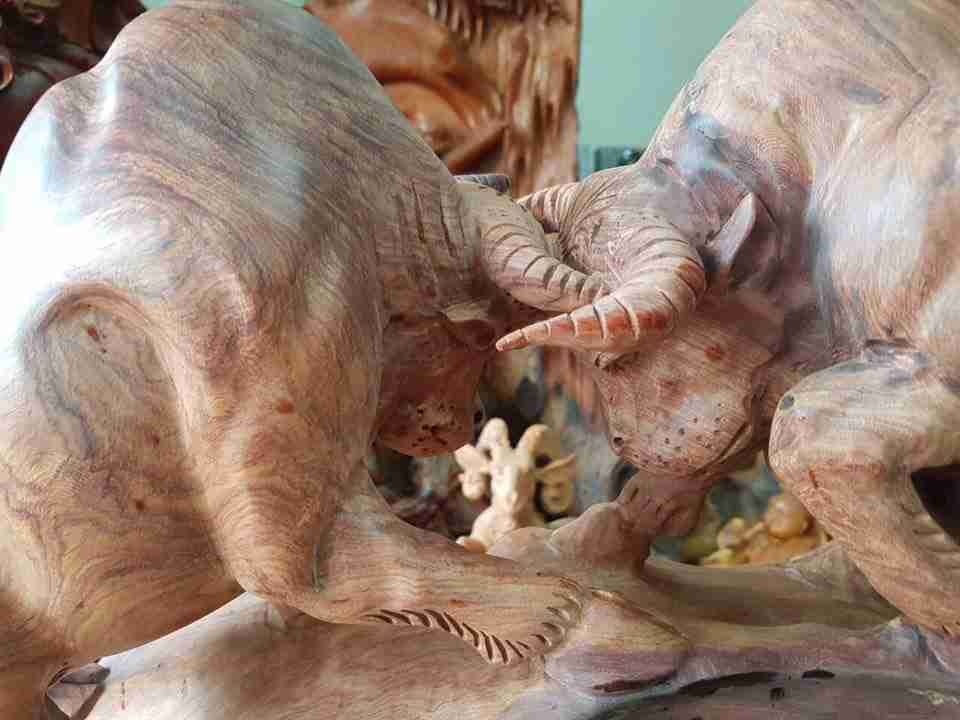 Dau-bo-go-cam-cao-32-rong-58-sau-18-cm