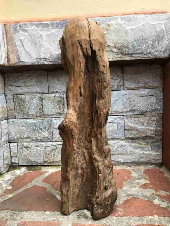 Cu-tho-go-thuy-tung-cao-51-rong-16-day-16-cm