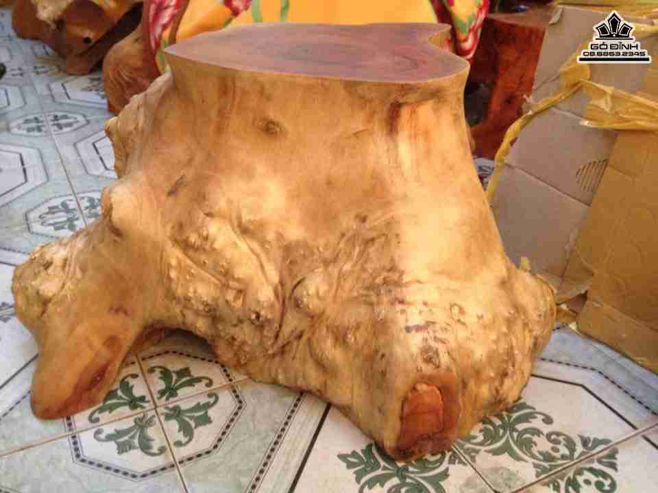 Don-nguyen-khoi-go-nu-xa-xi-gu-huong