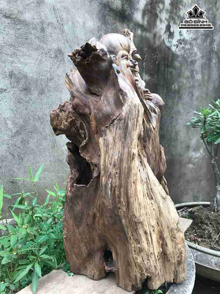 mua-Ong-tho-go-lua-bach-xanh-cao-56-rong-26-day-28-cm