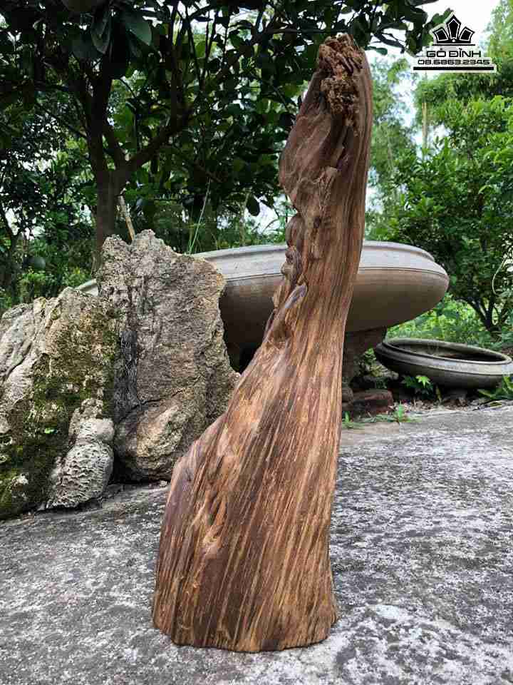 Ong-tho-go-lua-bach-xanh-cao-47-rong-25-day-17-cm