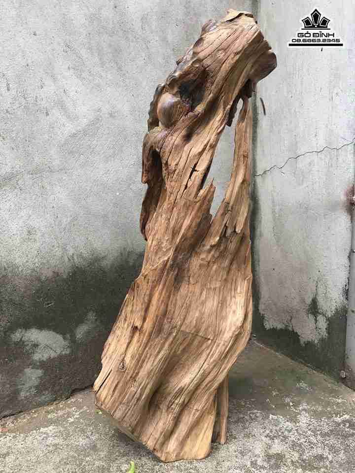 Ong-tho-go-lua-bach-xanh-cao-86-rong-33-day-26-cm