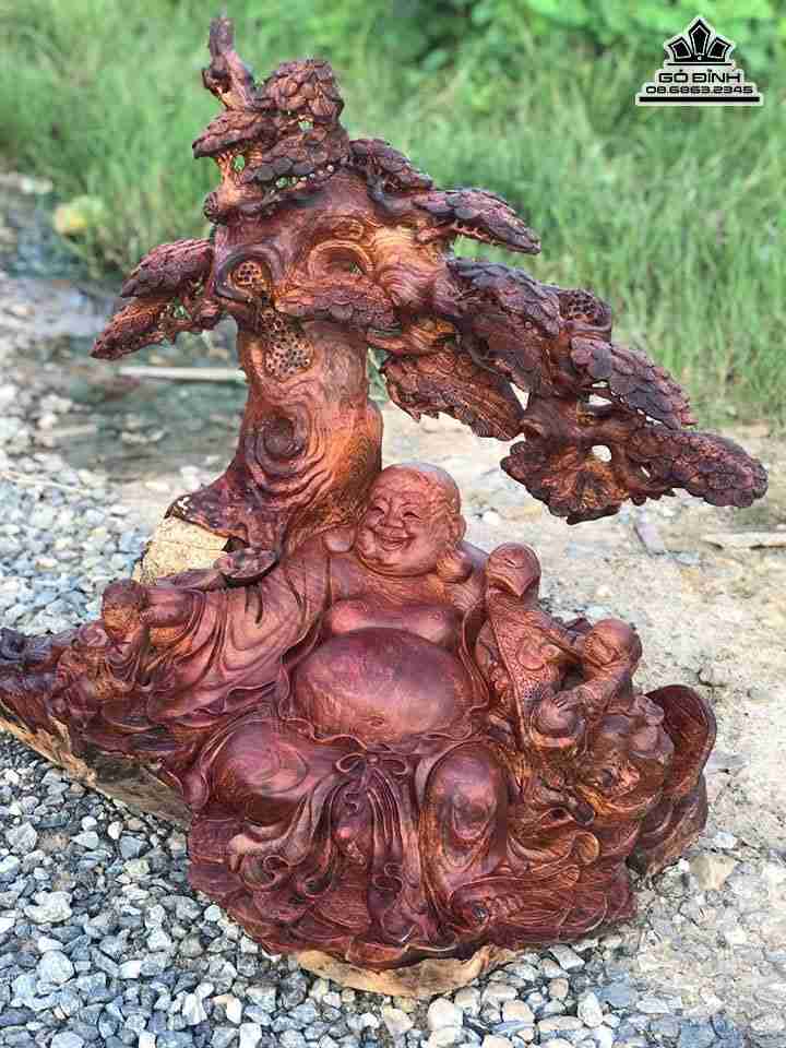 mua-Phat-di-lac-ngoi-goc-tung-go-cam-cao-69-rong-70-sau-50-cm